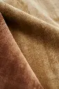 Lucens amber mustard close up.webp