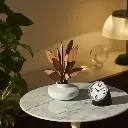 Alessi perfumador Las 5 estaciones “Ahhh"